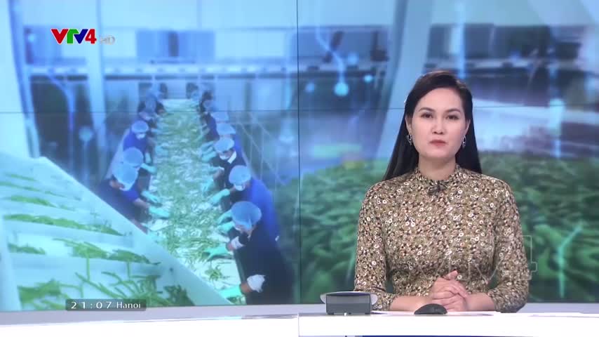 Đưa chế biến nông sản vào nghị quyết