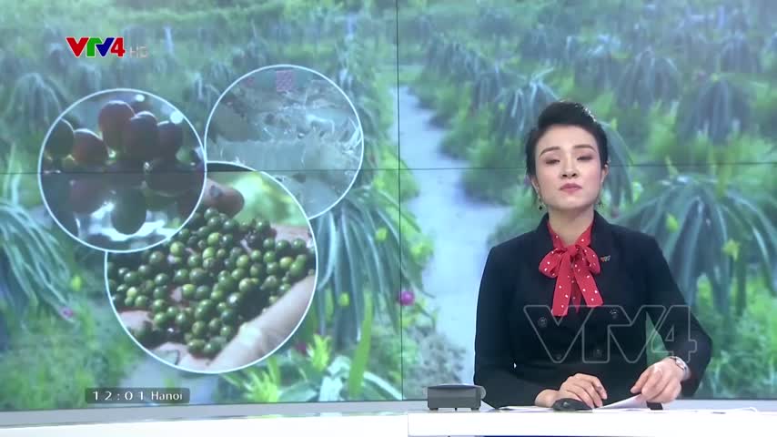 Còn nhiều tiềm năng và dư địa cho chế biến sâu nông sản