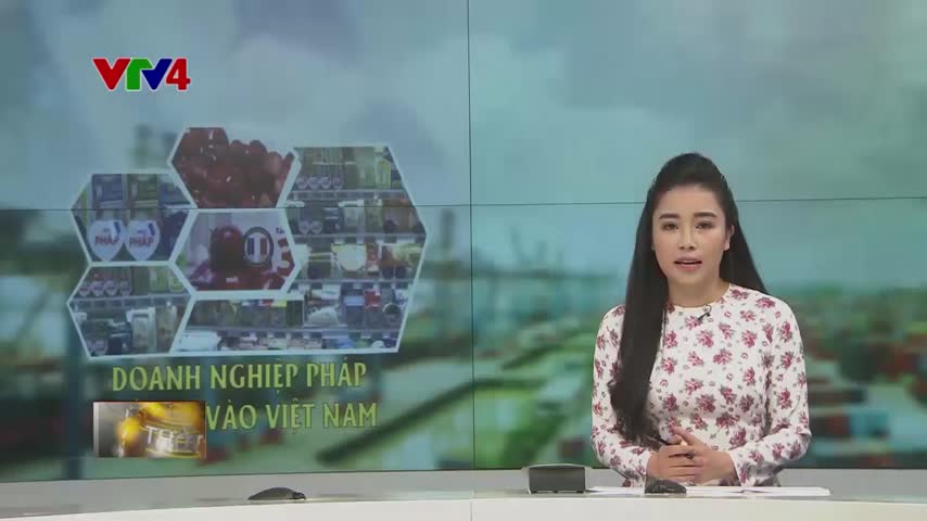 Doanh nghiệp Pháp mở rộng đầu tư tại Việt Nam