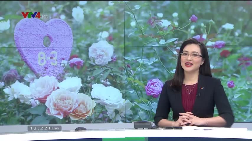 Vườn hoa hồng hút khách dịp 08/03