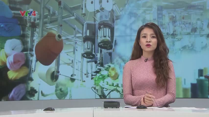 Phỏng vấn Phó Tổng thư ký Hiệp hội Dệt may Việt Nam