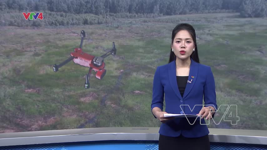 Mắt thần canh gác rừng ở tràm chim