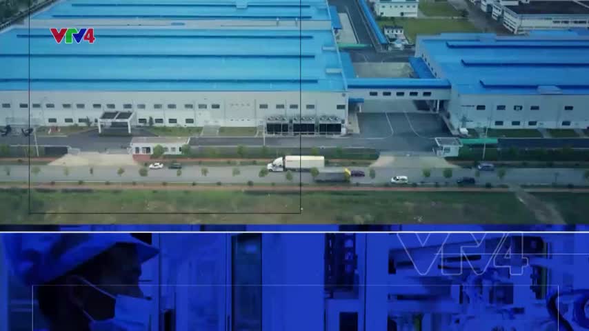 Focus: Xu hướng kinh tế xanh