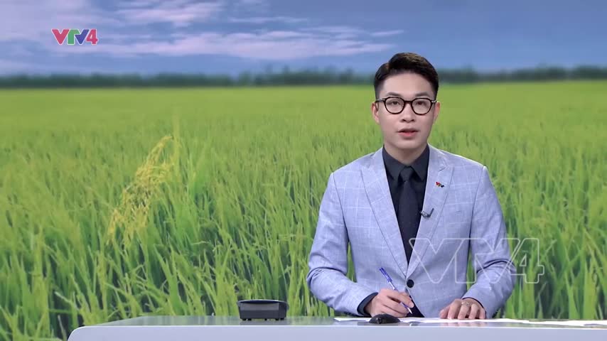 Giảm phát thải khí nhà kính trong canh tác lúa