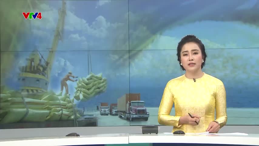 Phỏng vấn Chuyên gia lúa gạo Nguyễn Đình Bích