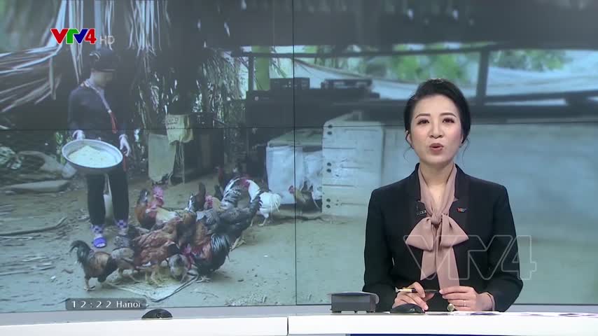 Tự nguyện thoát nghèo