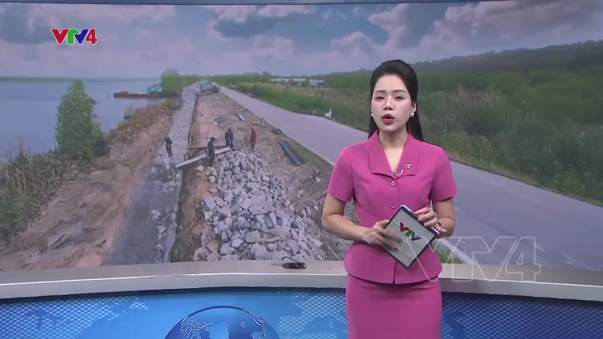 Cà Mau ứng phó với sạt lở đê biển Tây