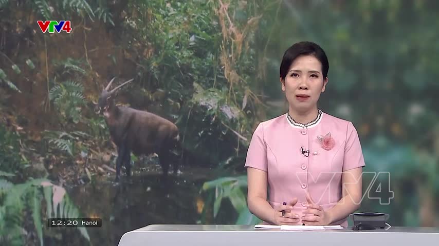 Nỗ lực tìm kiếm sao la