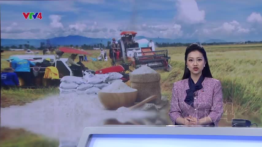 Gạo Việt tận dụng lợi thế nhờ chất lượng