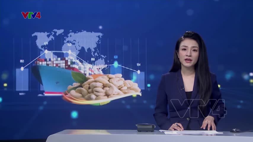 Nỗ lực lấy lại số hạt điều xuất khẩu có dấu hiệu bị lừa đảo