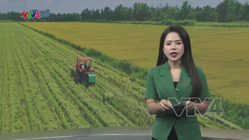 Những đổi thay từ lối canh tác mới