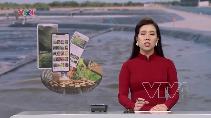 Xúc tiến đầu tư vào lĩnh vực nông nghiệp