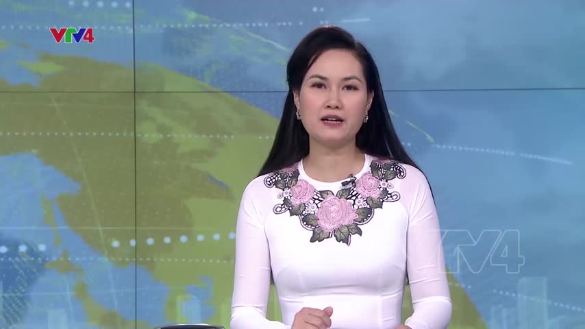 Phó Tổng Giám đốc công ty Nhật Cường bị tuyên phạt 13 năm tù
