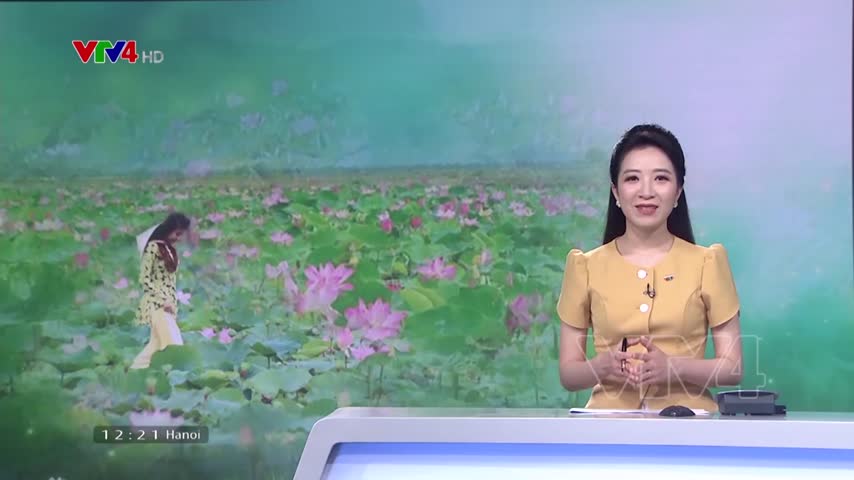 Hợp tác phát triển du lịch tại Đồng Tháp