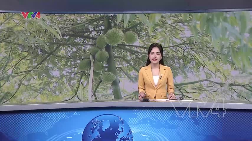 Khai thác cơ hội phát triển khi sáp nhập tỉnh