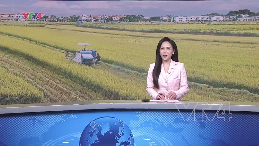 Miễn thuế đất nông nghiệp để phát triển bền vững nông thôn