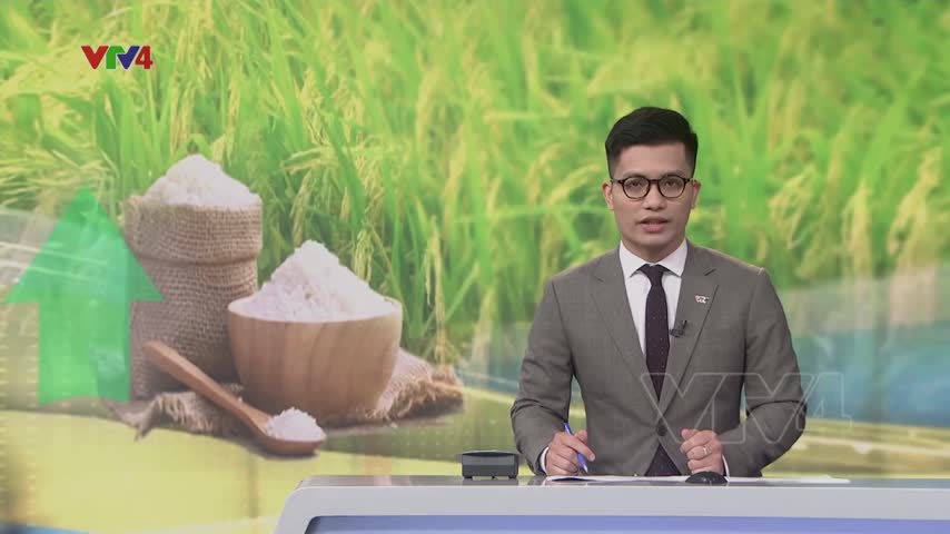 Giá gạo của Việt Nam tăng cao nhất trong gần 2 năm qua