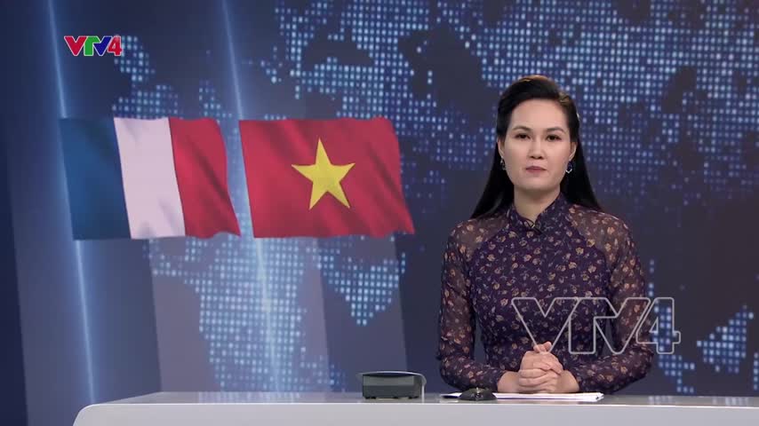 Chủ tịch nước tiếp đại sứ Pháp