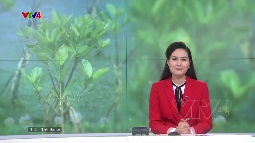 Triển khai đề án 1 tỷ cây xanh tại các địa phương