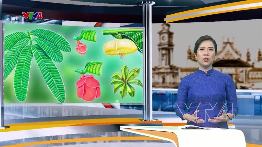 Lan tỏa tình yêu thiên nhiên qua tranh minh họa thực vật