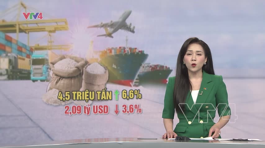 Cơ hội gia tăng kim ngạch xuất khẩu gạo