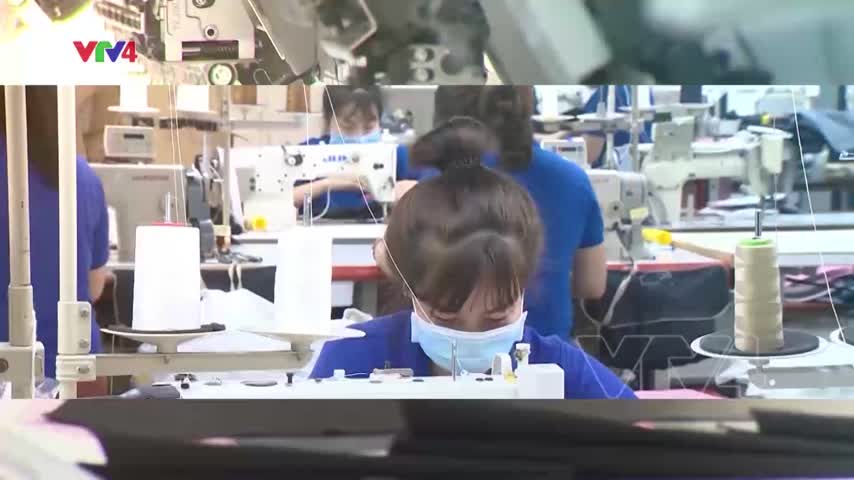 Focus: RCEP - Cơ hội và thách thức đối với Việt Nam 