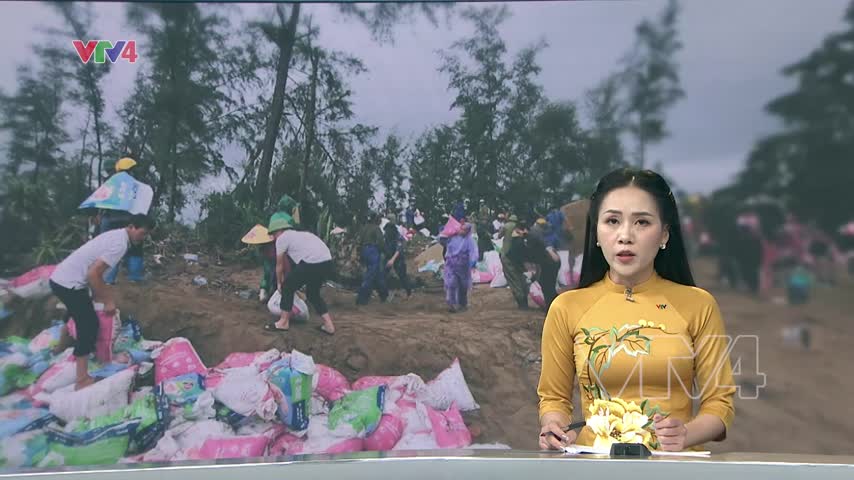 Chủ động ứng phó bão số 10