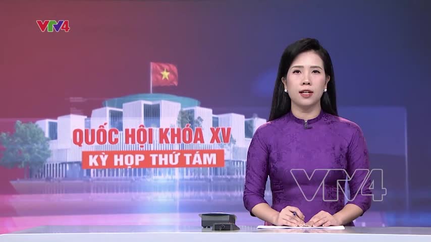 Thảo luận dự Luật Tư pháp người chưa thành niên