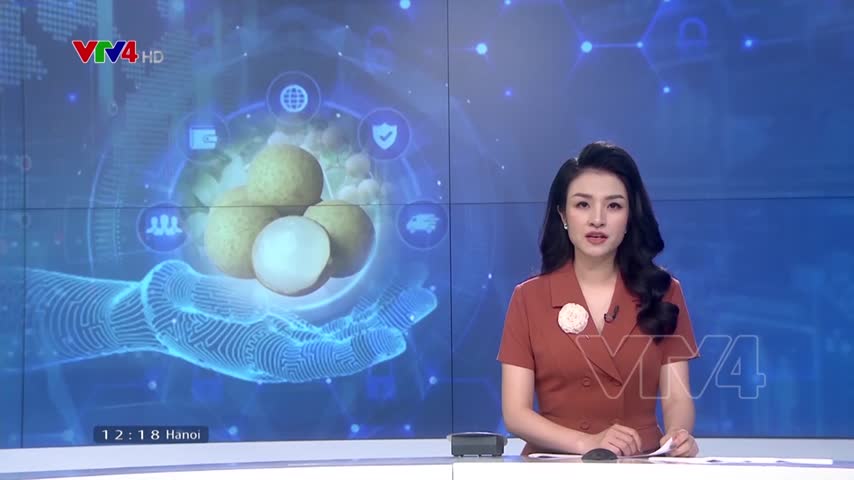 Nhãn lồng Hưng Yên lên chợ trực tuyến