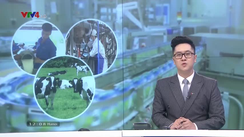 Tiêu điểm: Tiềm năng xuất khẩu sữa sang Trung Quốc