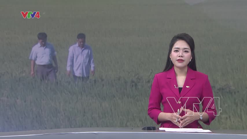 Thăm đồng đầu năm mới