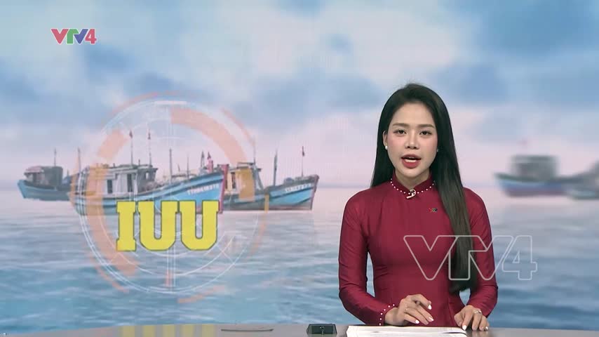 Đẩy nhanh điều tra, xử lý nghiêm vi phạm trong khai thác IUU