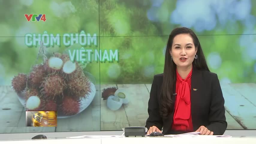 Chôm chôm Việt Nam chính thức được cấp phép vào thị trường New Zealand