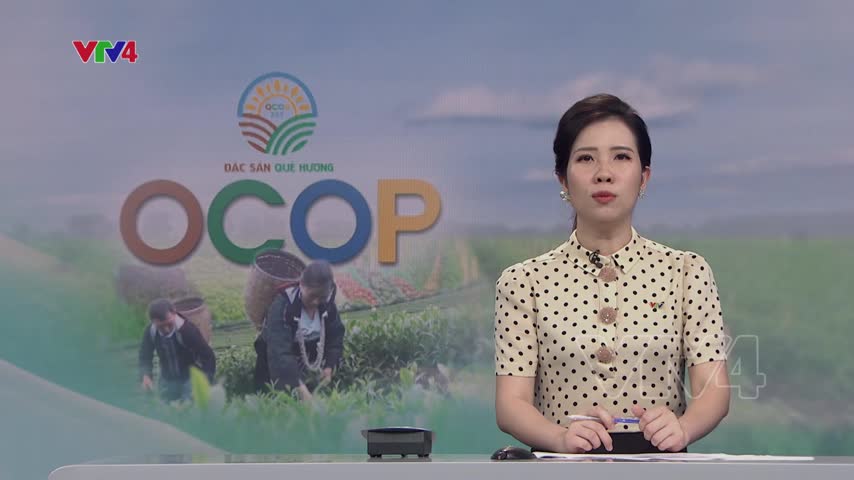 Ra mắt 