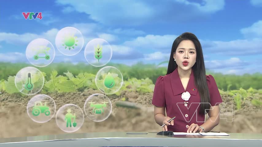 Nông nghiệp công nghệ cao gắn với phát triển đô thị