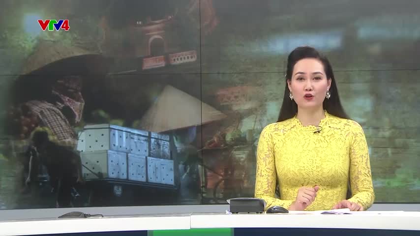 Những phụ nữ mưu sinh trong đêm