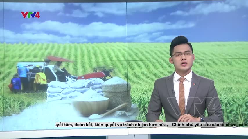 Sẽ có nhiều kịch bản cho kỳ thi Trung học Phổ thông quốc gia 2020