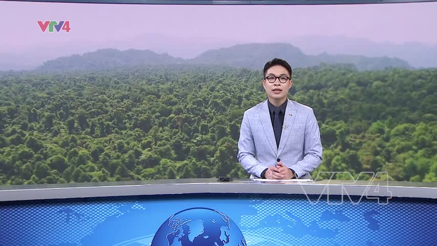 Tăng tốc hoàn thiện dư liệu đáp ứng quy định EUDR