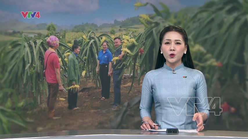 Gieo hy vọng trên nương nhà