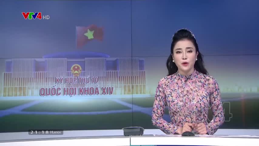 Thảo luận về tổ chức Chính quyền đô thị tại Thành phố Hồ Chí Minh