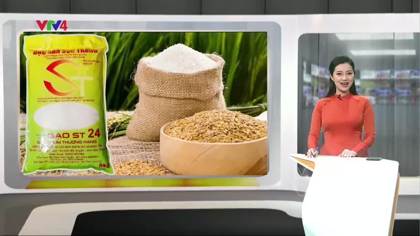 Gạo ST24 của Việt Nam được bán tại hầu hết các nước châu Âu