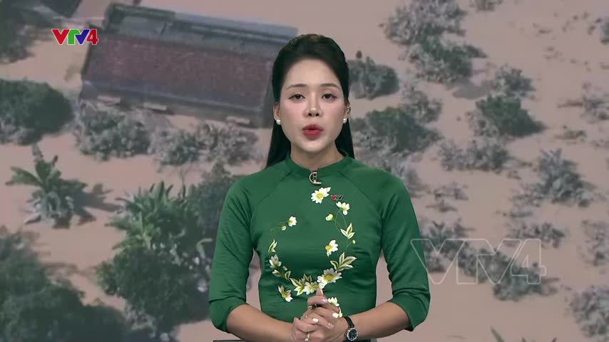 Phỏng vấn: Kiến trúc sư Tô Kiên về kinh nghiệm ứng phó mưa lũ
