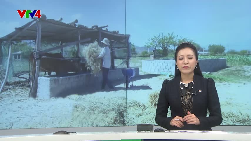 Chương trình 