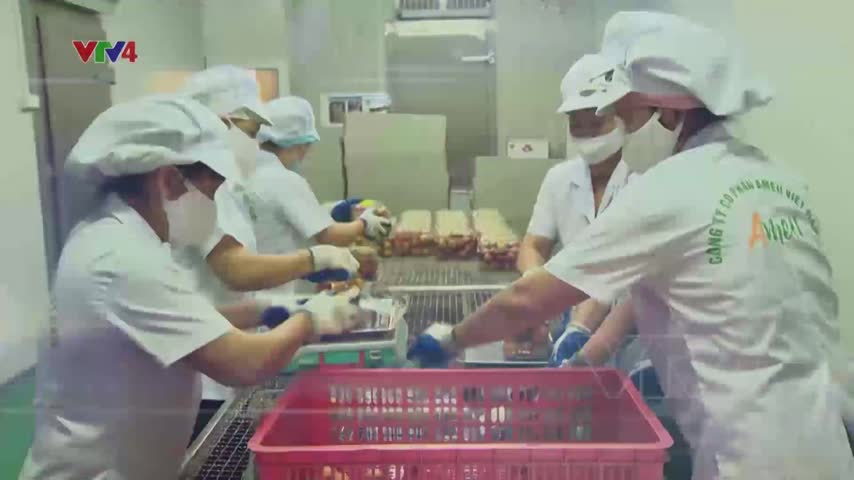 Tiêu điểm: Kiều bào hỗ trợ tiêu thụ trái cây Việt Nam tại nước ngoài