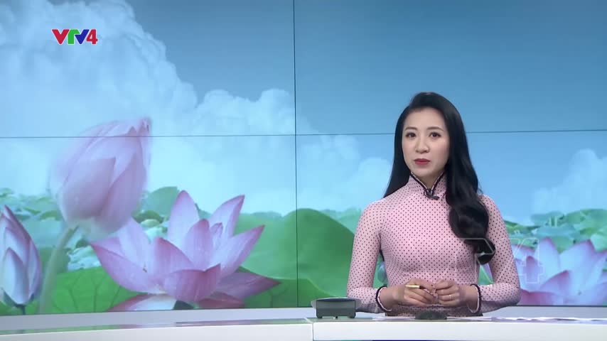 Mô hình sen – cá mang lại hiệu quả kinh tế cao