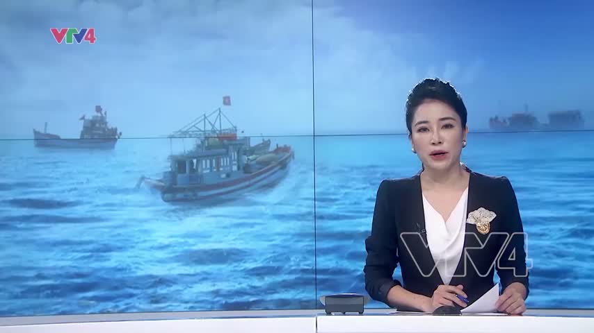 Chuyển biến trong khai thác hải sản tại các tỉnh Nam Bộ