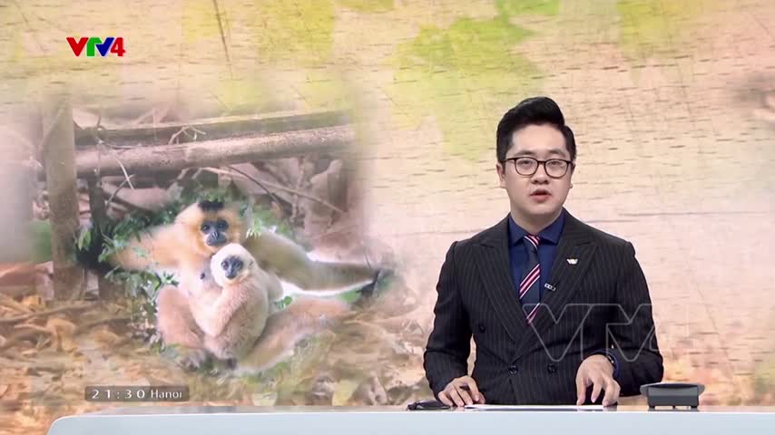 Chiến dịch không tiêu thụ thịt động vật hoang dã