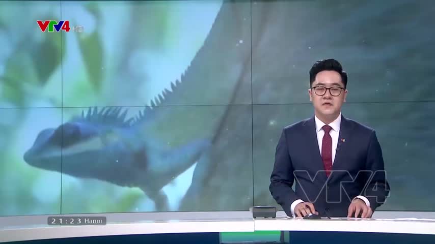 Bảo tồn các khu dự trữ sinh quyển thế giới tại Việt Nam