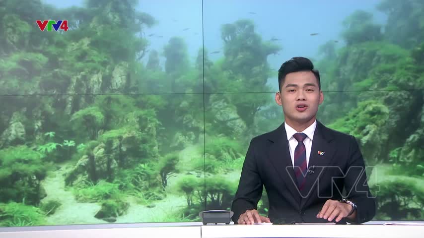 Độc đáo nghệ thuật thủy sinh Việt Nam
