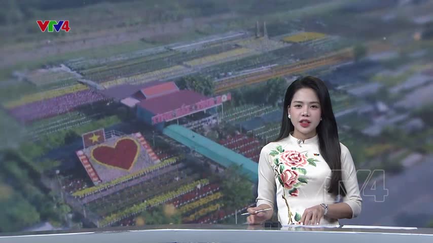 Festival hoa kiểng Sa Đéc, Đồng Tháp